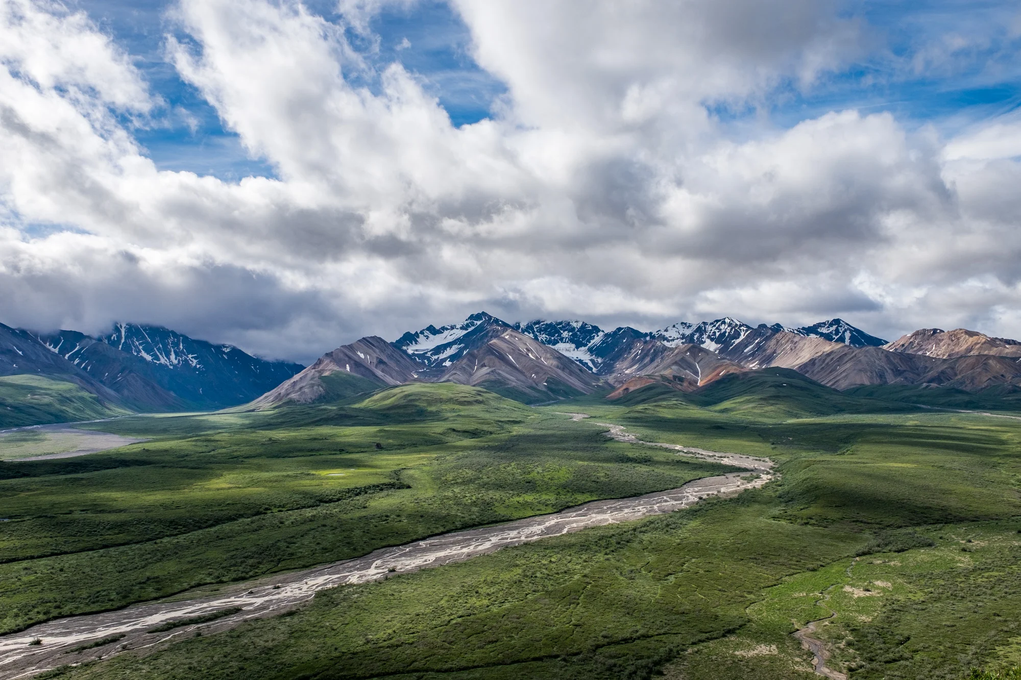 Denali National Park — The Greatest American Road Trip